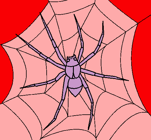 Araña