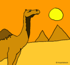 Dibujo Camello pintado por lara