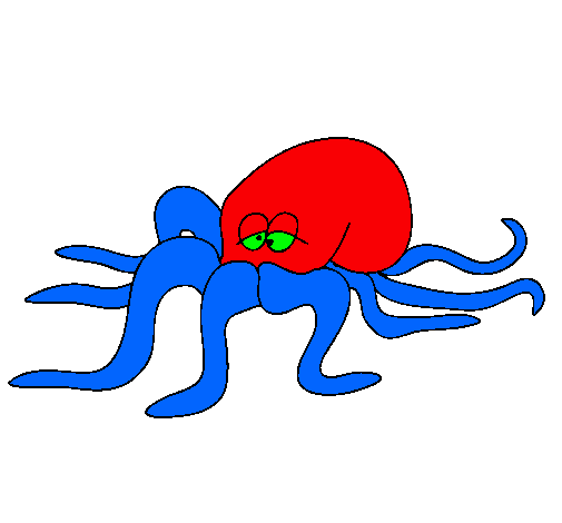 Pulpo