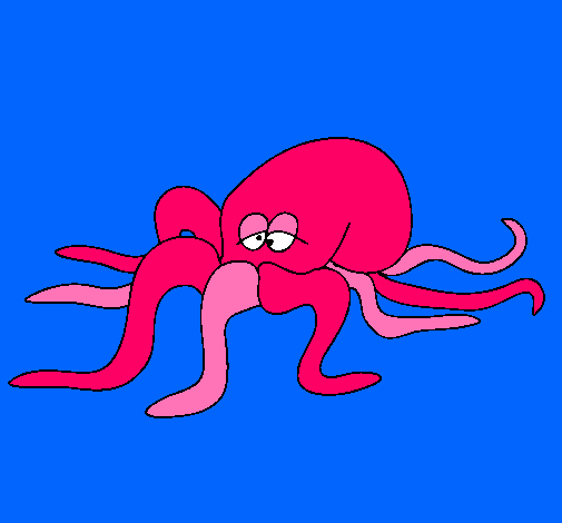 Pulpo