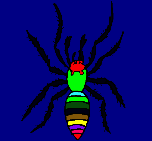 Araña tigre