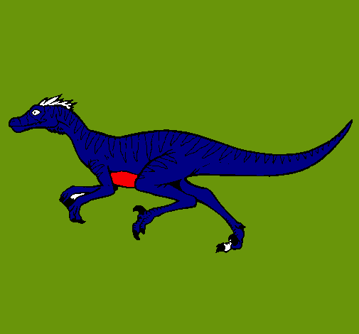 Velociraptor