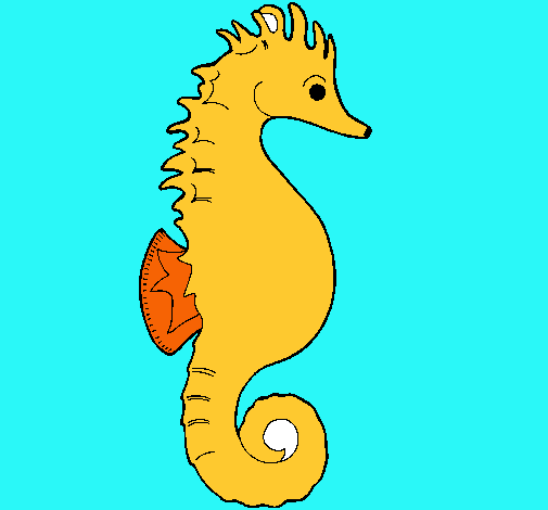 Caballito de mar