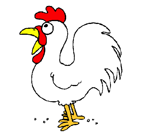 Gallo de granja