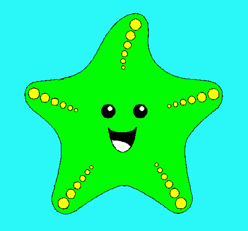 Estrella de mar