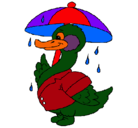 Dibujo Pato bajo la lluvia pintado por BRAYAN