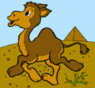 Dibujo Camello pintado por NADIS