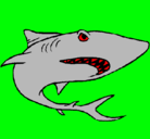Dibujo Tiburón pintado por seba