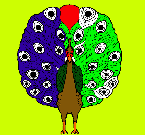 Pavo real