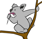 Dibujo Koala pintado por vicky