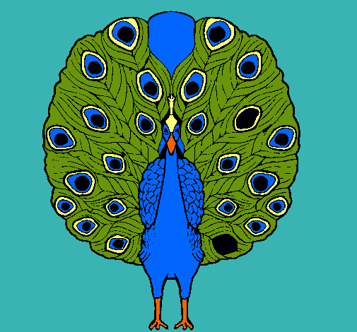 Pavo real