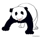 Dibujo Oso panda pintado por TRIVILIN