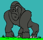 Dibujo Gorila pintado por oscar