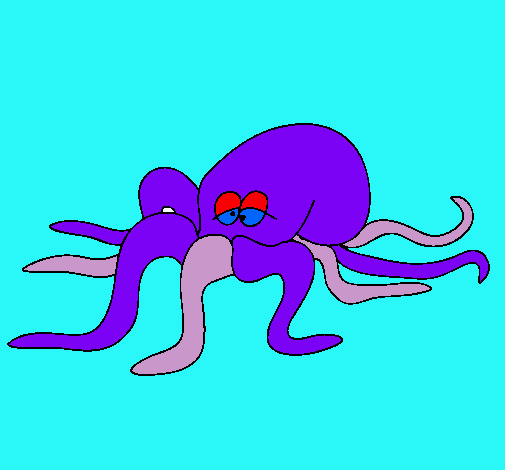 Pulpo