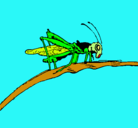 Dibujo Saltamontes en una rama pintado por julian