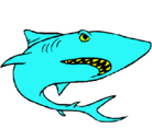 Dibujo Tiburón pintado por ALEIX