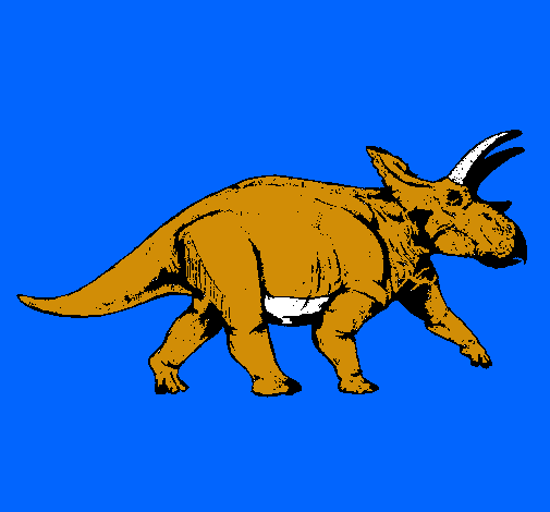 Triceratops