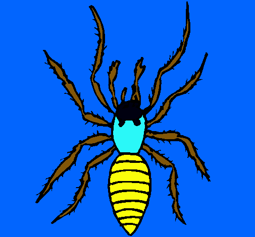 Araña tigre