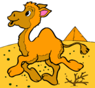Dibujo Camello pintado por almendra
