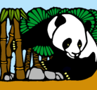 Dibujo Oso panda y bambú pintado por ASD