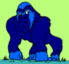 Dibujo Gorila pintado por ENZO