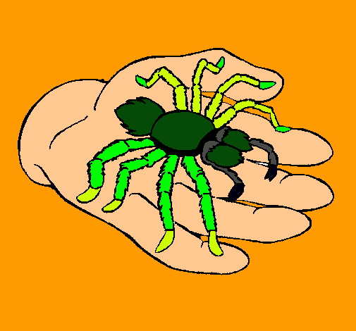 Tarántula