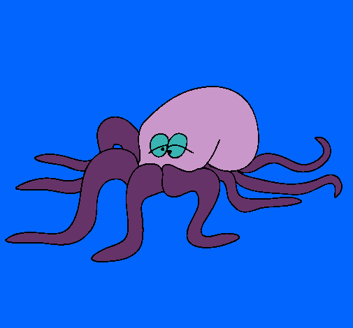 Pulpo