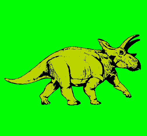 Triceratops