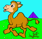 Dibujo Camello pintado por chanttalgonzalez