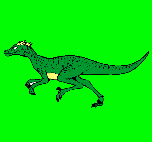 Velociraptor