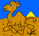Dibujo Camello pintado por EDUARDOCUEVAESTEVAN