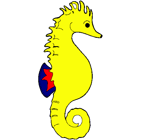 Caballito de mar