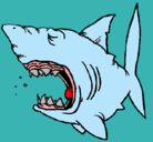 Dibujo Tiburón pintado por luisraul