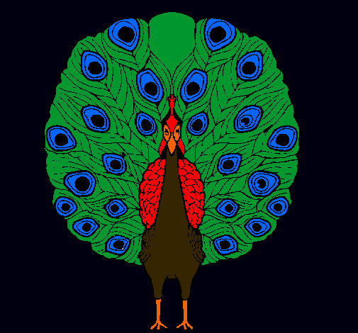 Pavo real