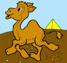 Dibujo Camello pintado por PAULA
