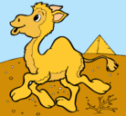 Dibujo Camello pintado por daniela