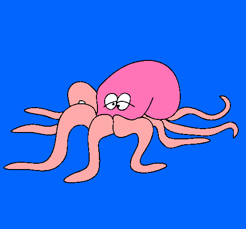 Pulpo