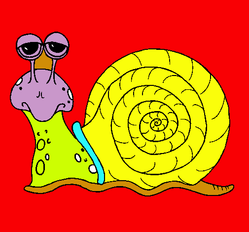 Caracol