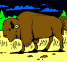 Dibujo Búfalo  pintado por jazielaranda