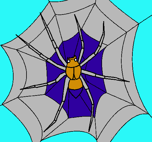 Araña