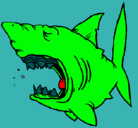 Dibujo Tiburón pintado por escudo