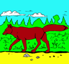 Dibujo Coyote pintado por carlos