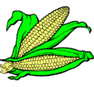 Dibujo Mazorca de maíz pintado por emilia