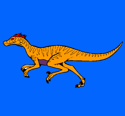 Velociraptor