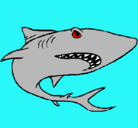 Dibujo Tiburón pintado por luisssssssssss
