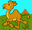 Dibujo Camello pintado por alexisadolfo