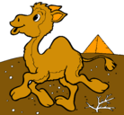 Dibujo Camello pintado por bana