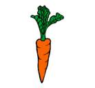 Dibujo zanahoria pintado por mo