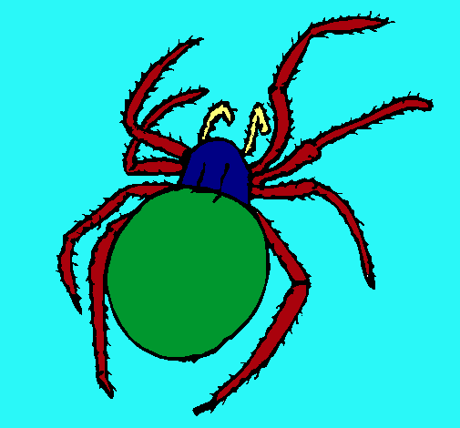 Araña venenosa