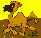 Dibujo Camello pintado por nicoolciezatacillo
